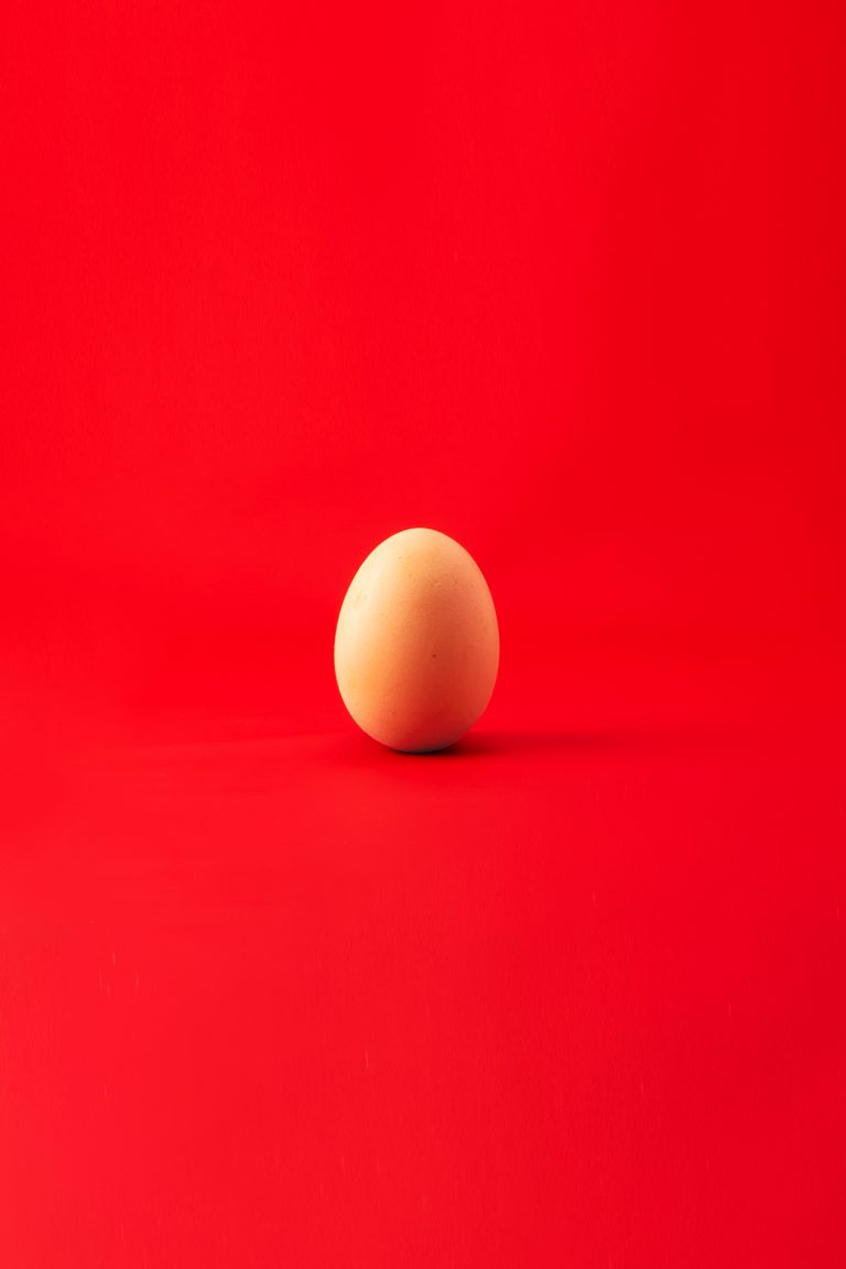 image of egg